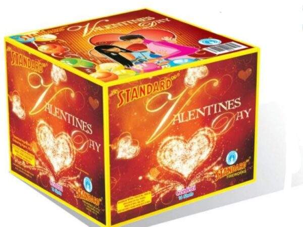 valentines day 16